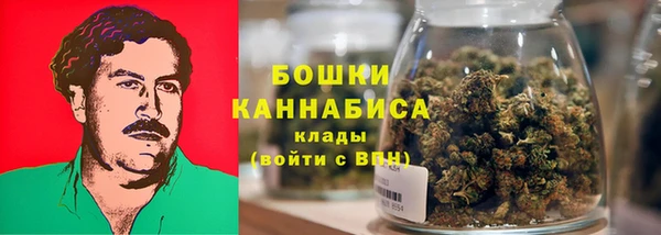 ешки Аркадак