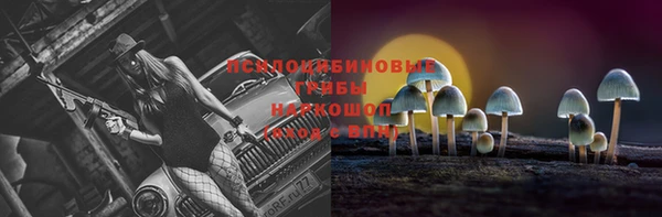 крисы Армянск