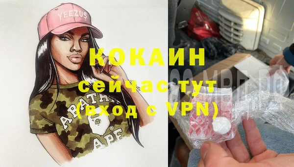 ешки Аркадак