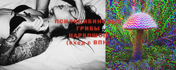 крисы Армянск