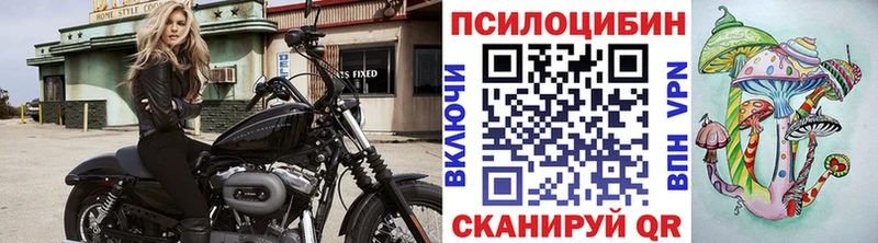 Галлюциногенные грибы ЛСД  магазин    Сурск 