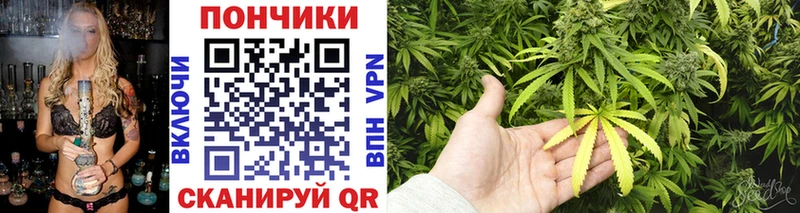 как найти закладки  Сурск  kraken как войти  Шишки марихуана Bruce Banner 